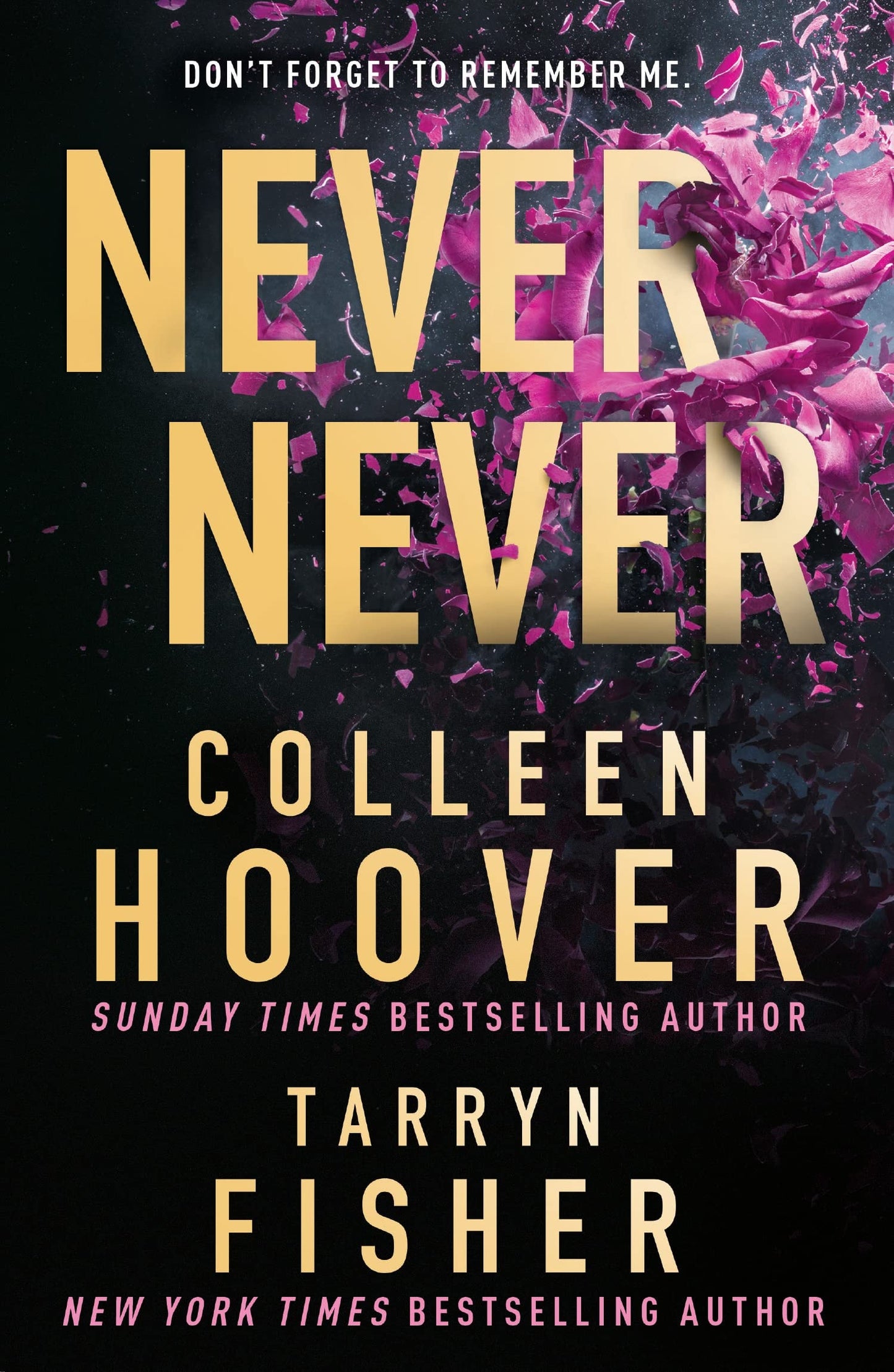 Never Never by Colleen Hoover,Tarryn Fisher