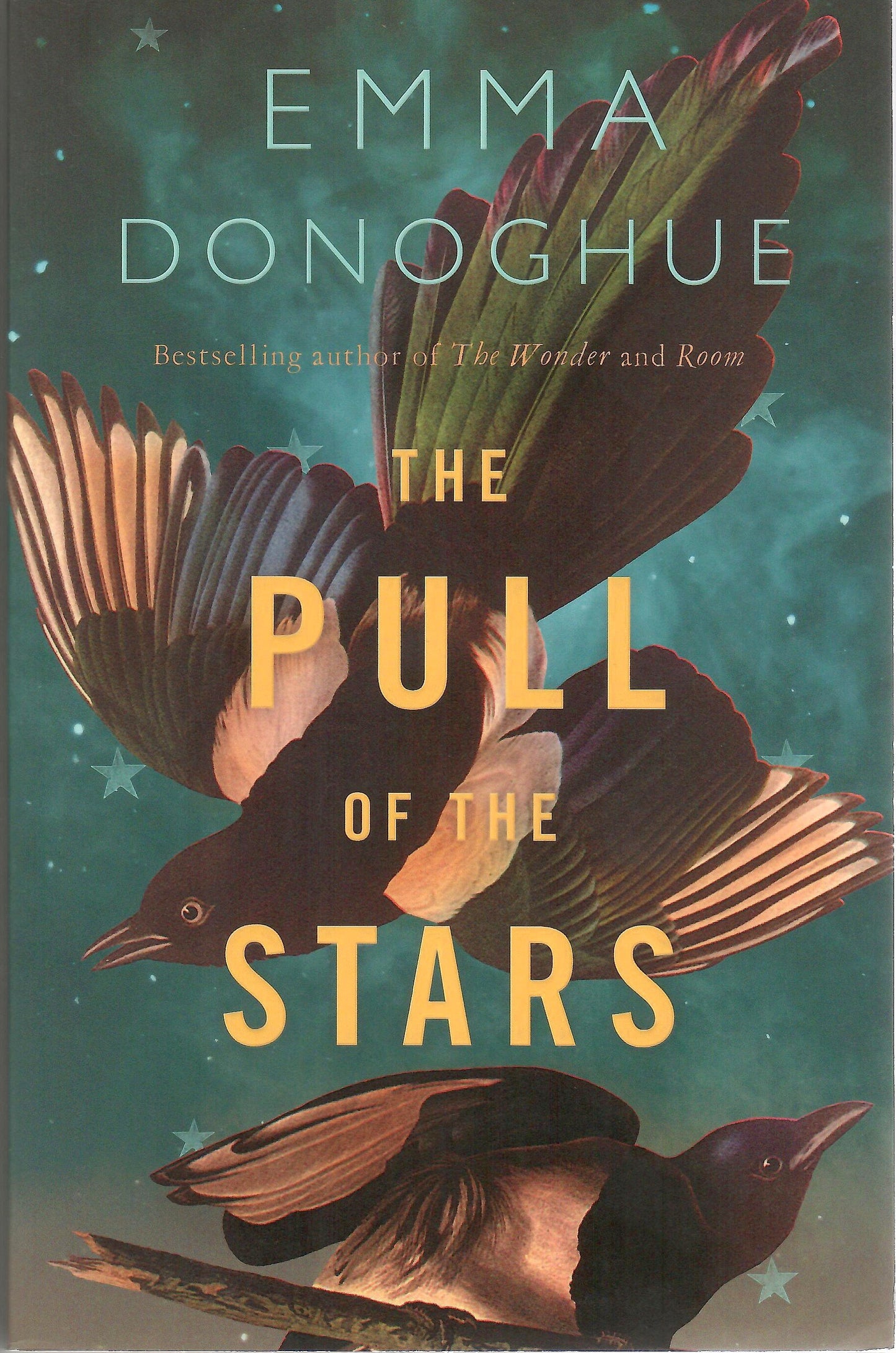 The Pull of the Stars by Emma Donoghue