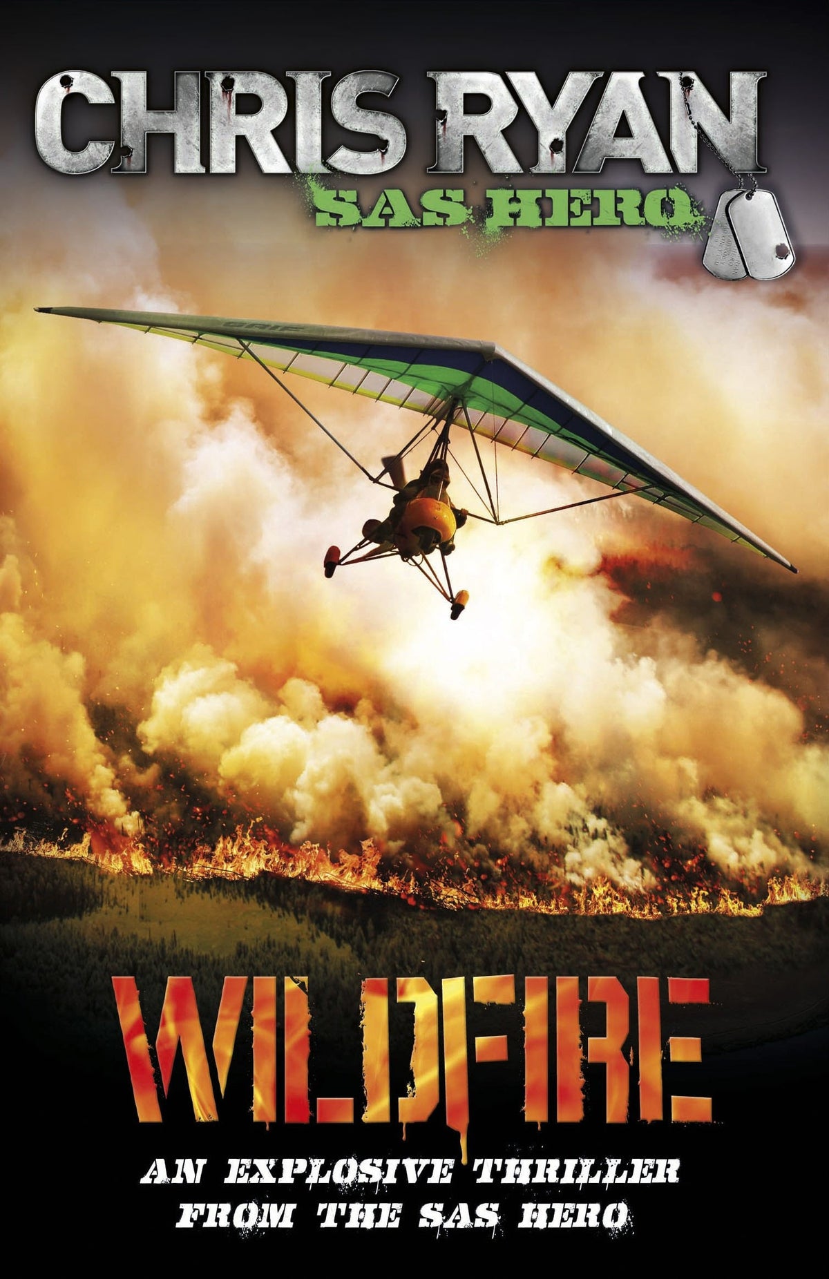 Wildfire door Chris Ryan
