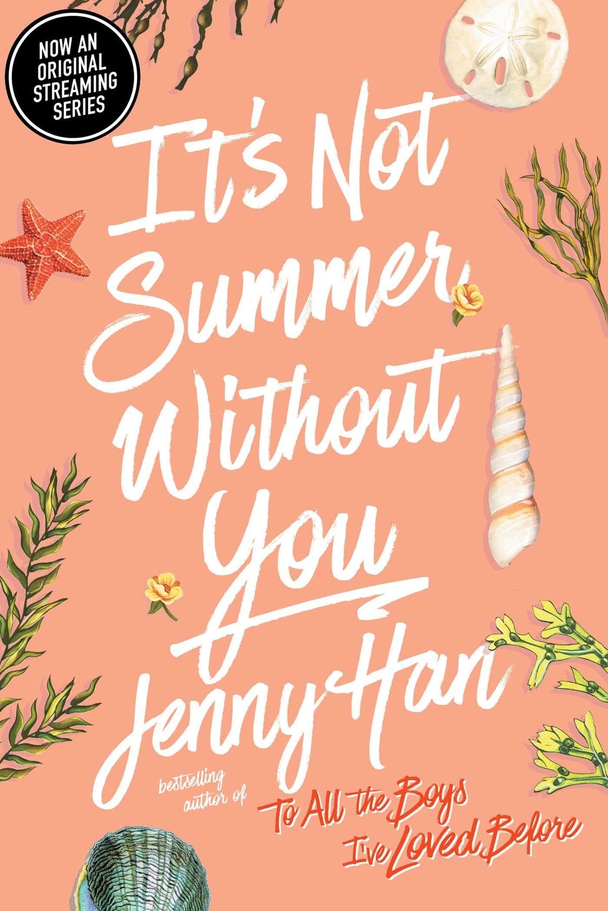 It's Not Summer Without You by Jenny Han (Summer #2)