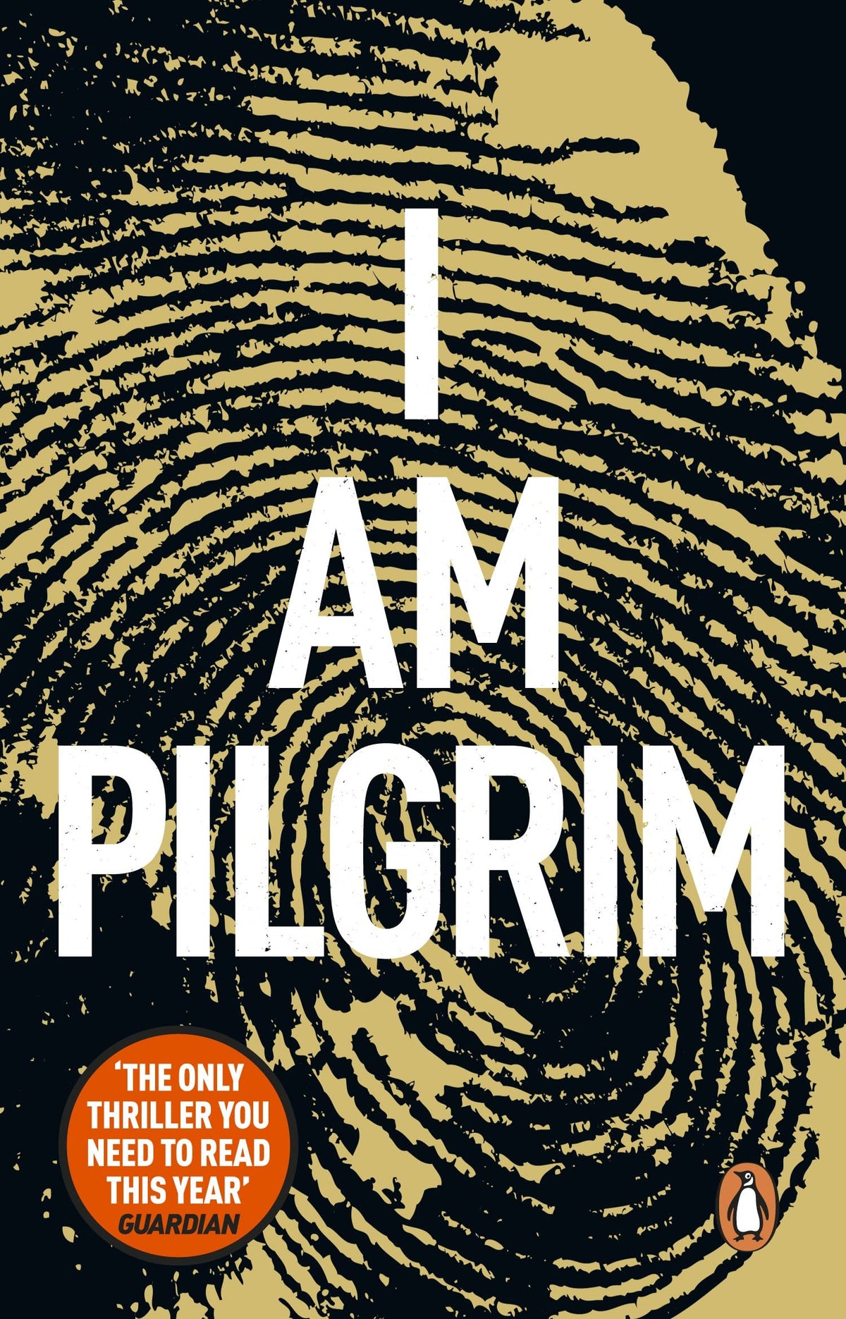 I Am Pilgrim door Terry Hayes