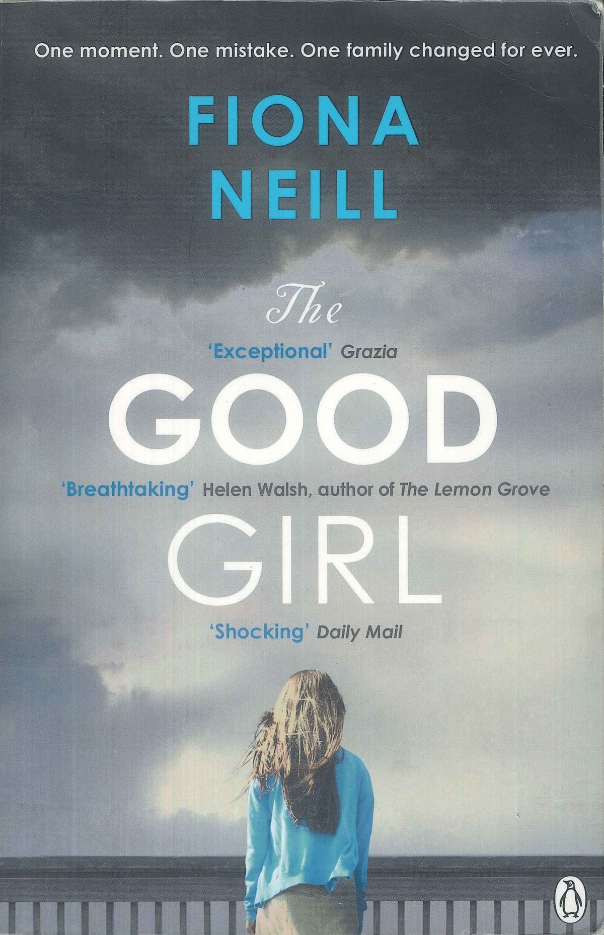 The Good Girl door Fiona Neill
