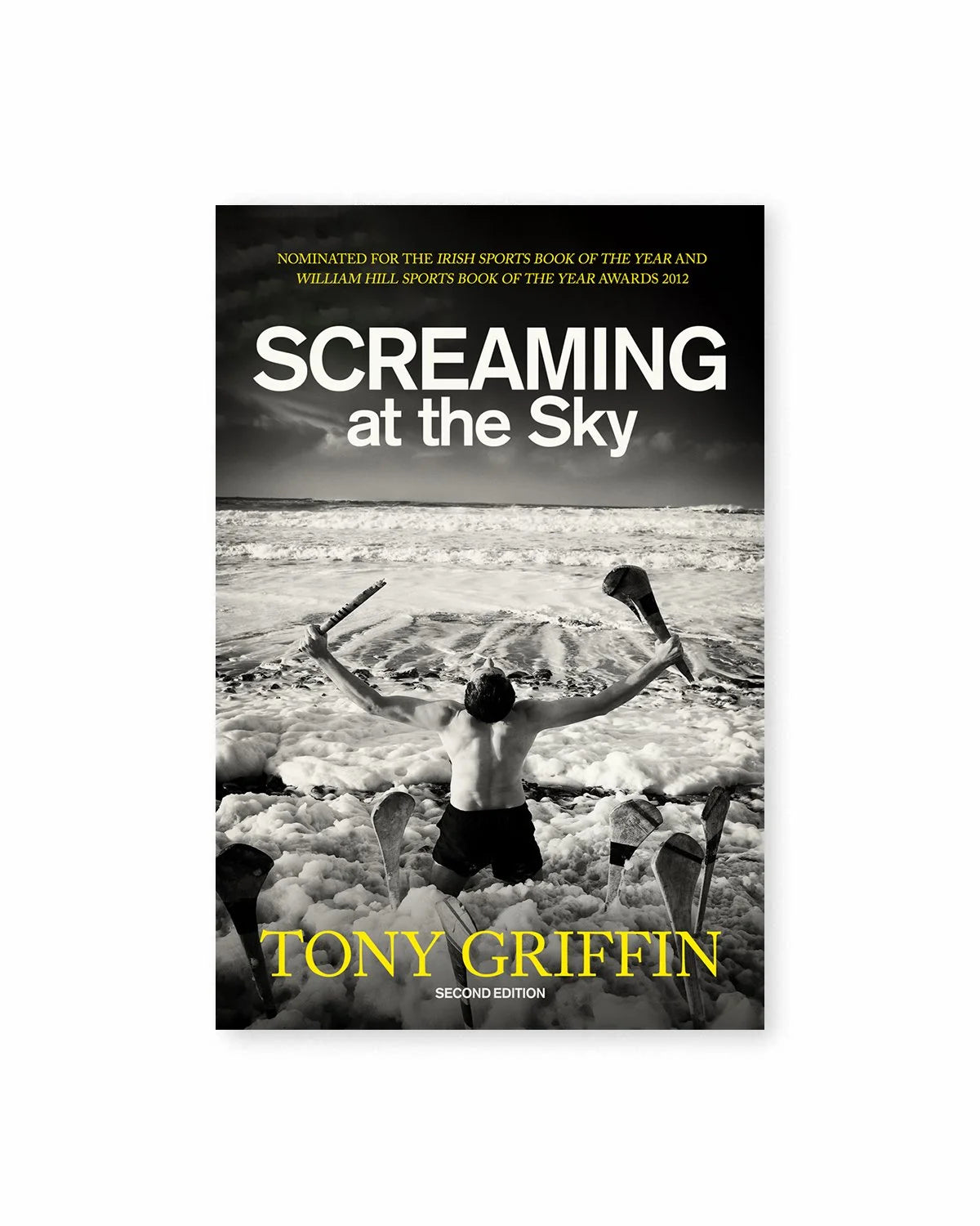 Screaming at the Sky My Journey by Tony Griffin
