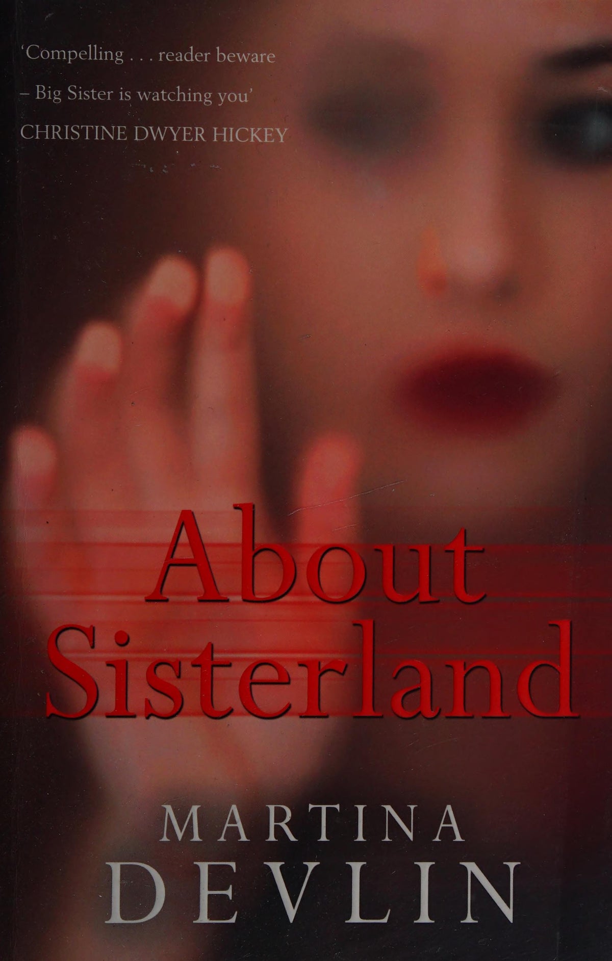 About Sisterland by Martina Devlin