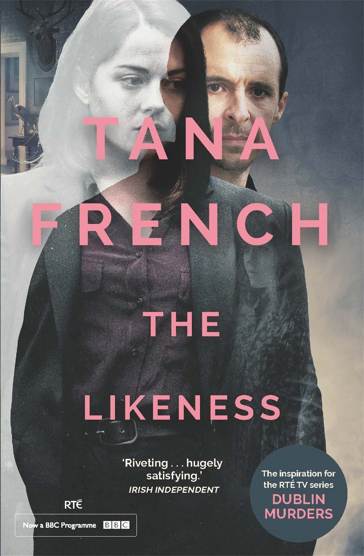 The Likeness door Tana French (Dublin Murder Squad #2)