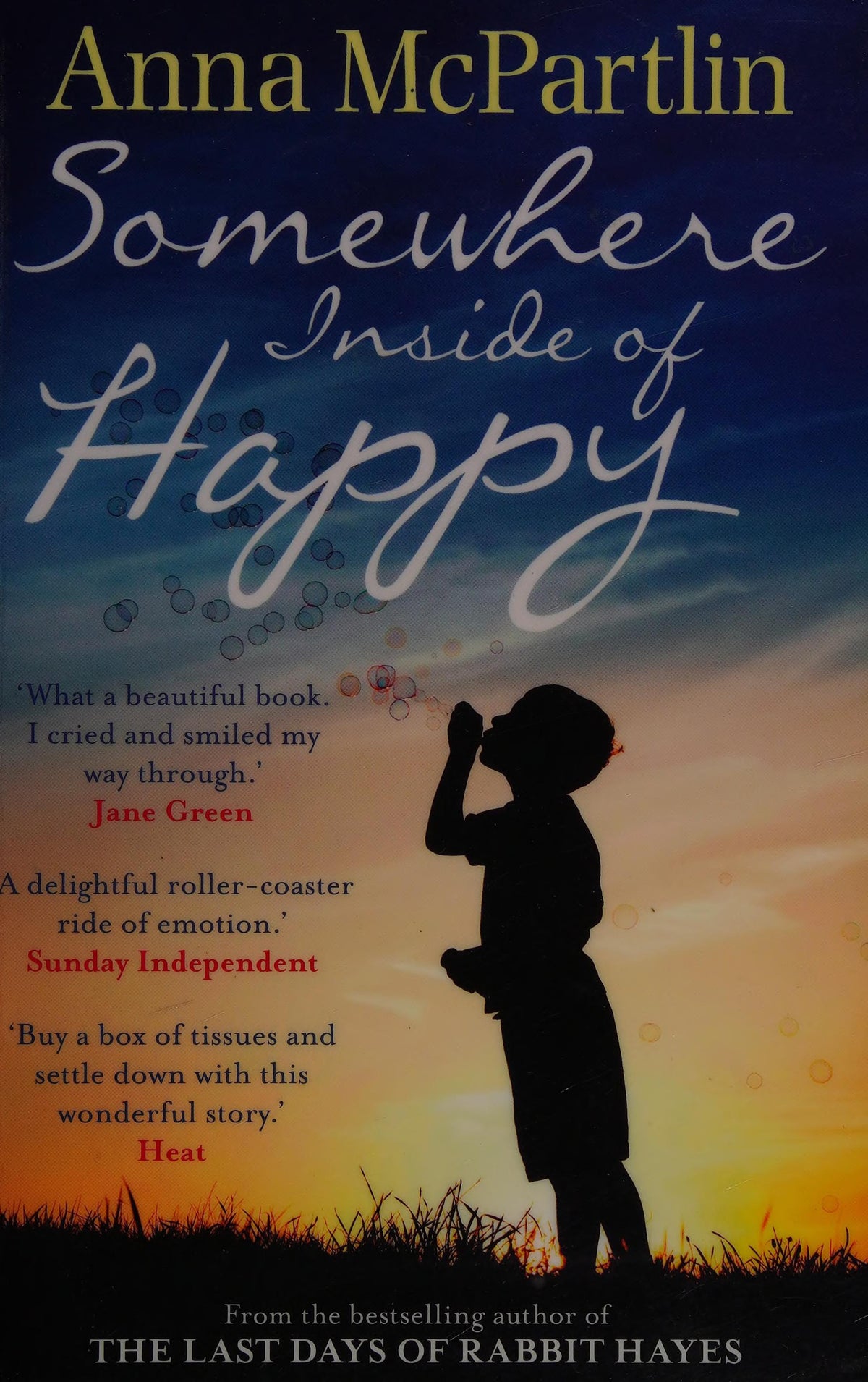 Somewhere Inside of Happy by Anna McPartlin