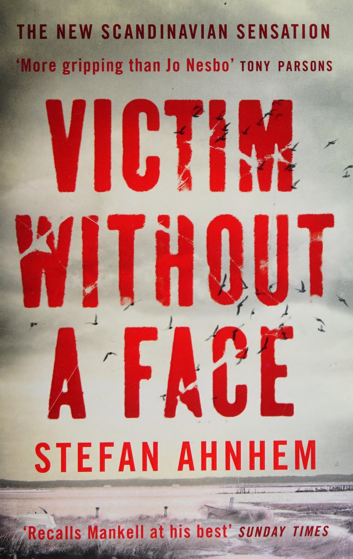 Slachtoffer Zonder Gezicht door Stefan Ahnhem (Fabian Risk #1)