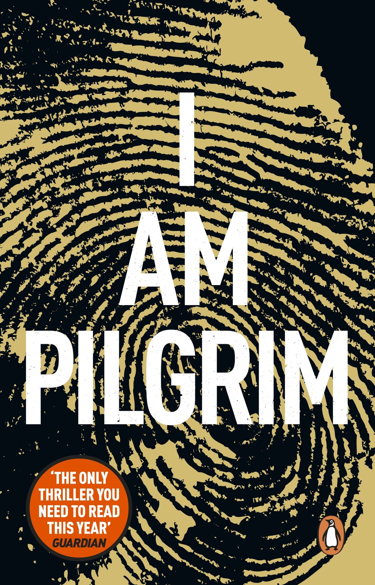 I Am Pilgrim door Terry Hayes