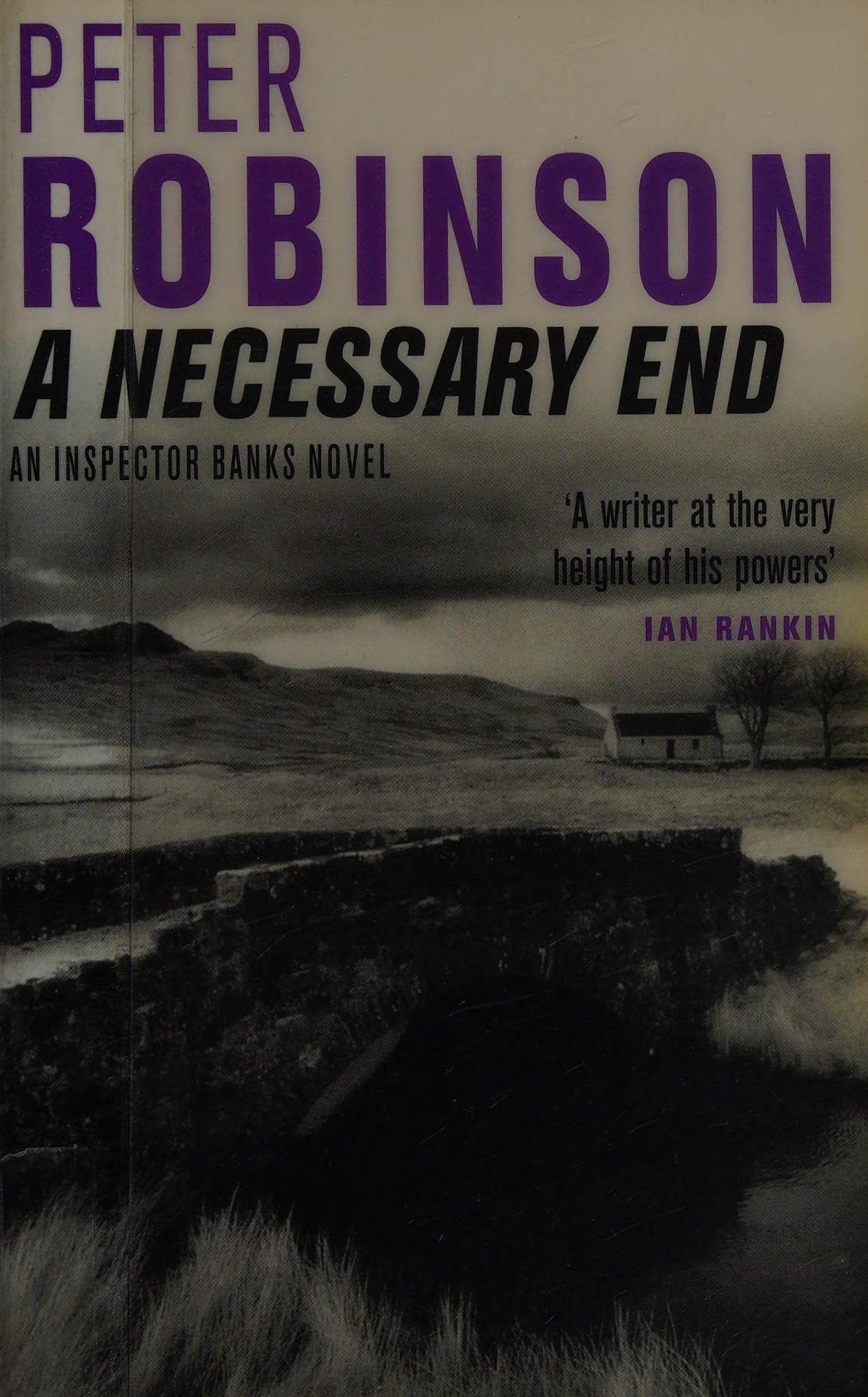 A Necessary End by Peter Robinson