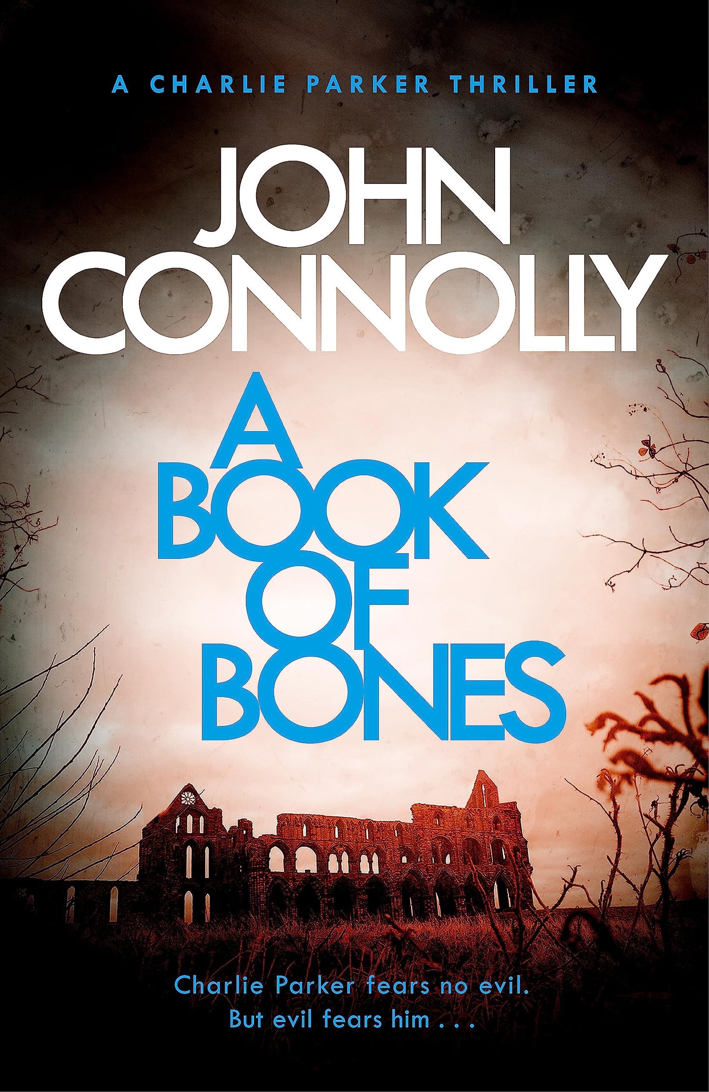 A Book of Bones by John Connolly (Charlie Parker #17)