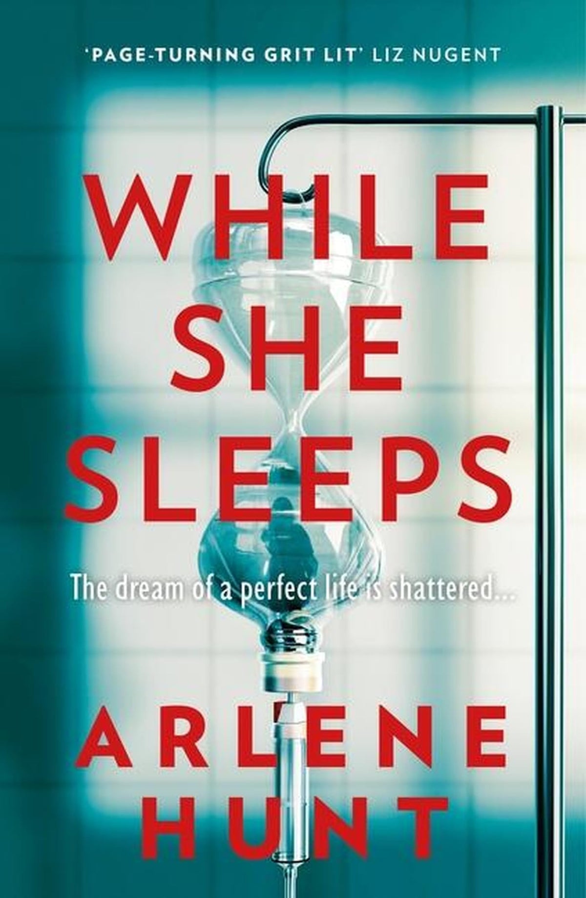 While She Sleeps door Arlene Hunt