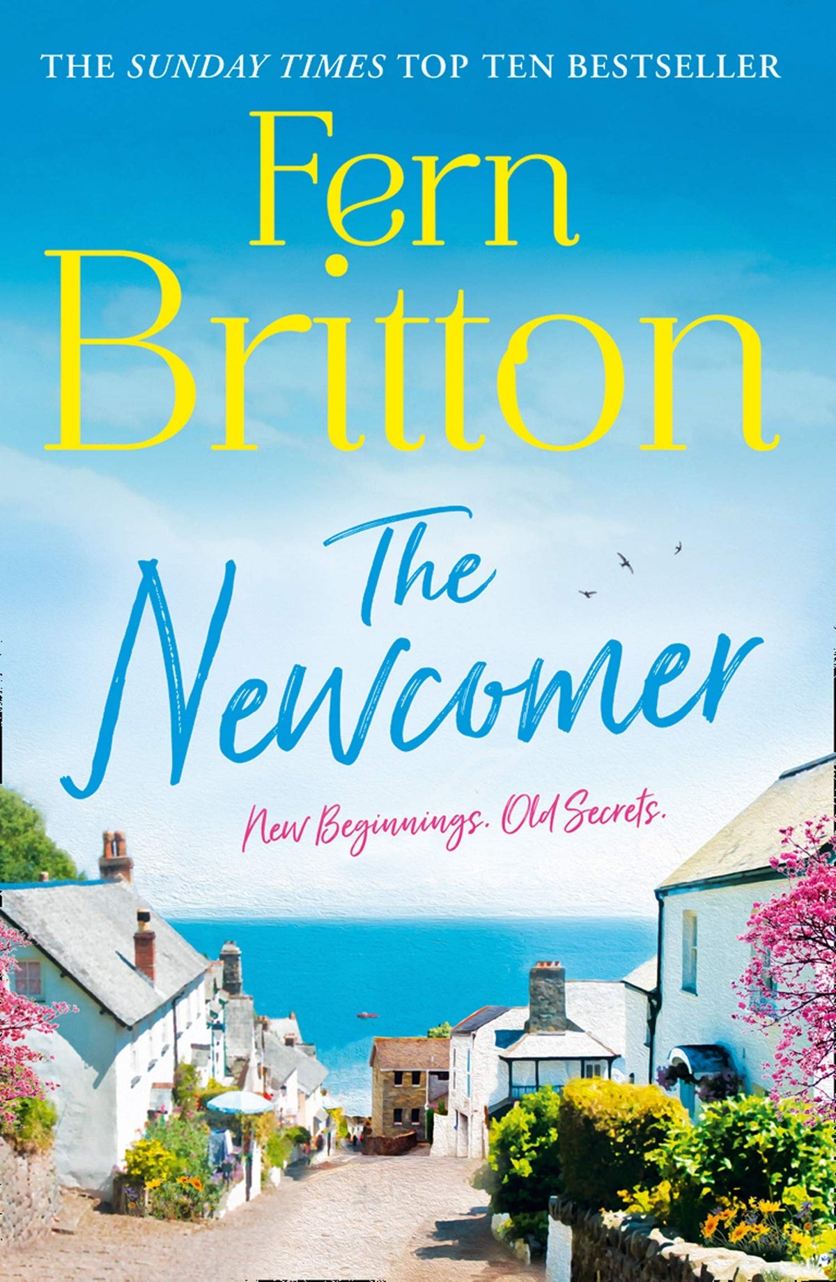 De nieuwkomer door Fern Britton
