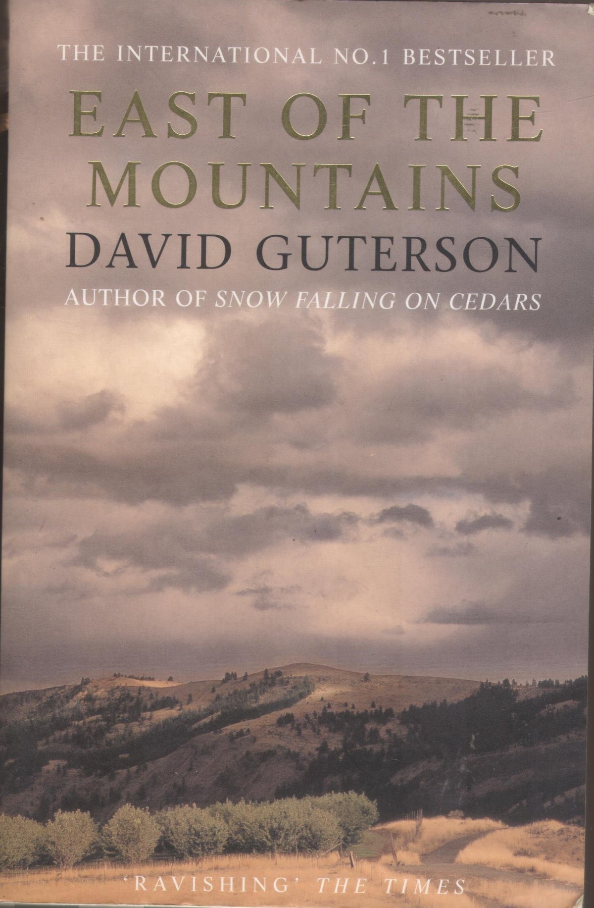 Ten Oosten van de Bergen door David Guterson