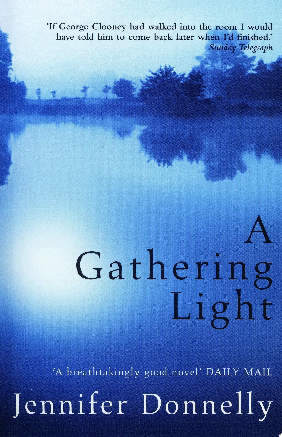 A Gathering Light door Jennifer Donnelly