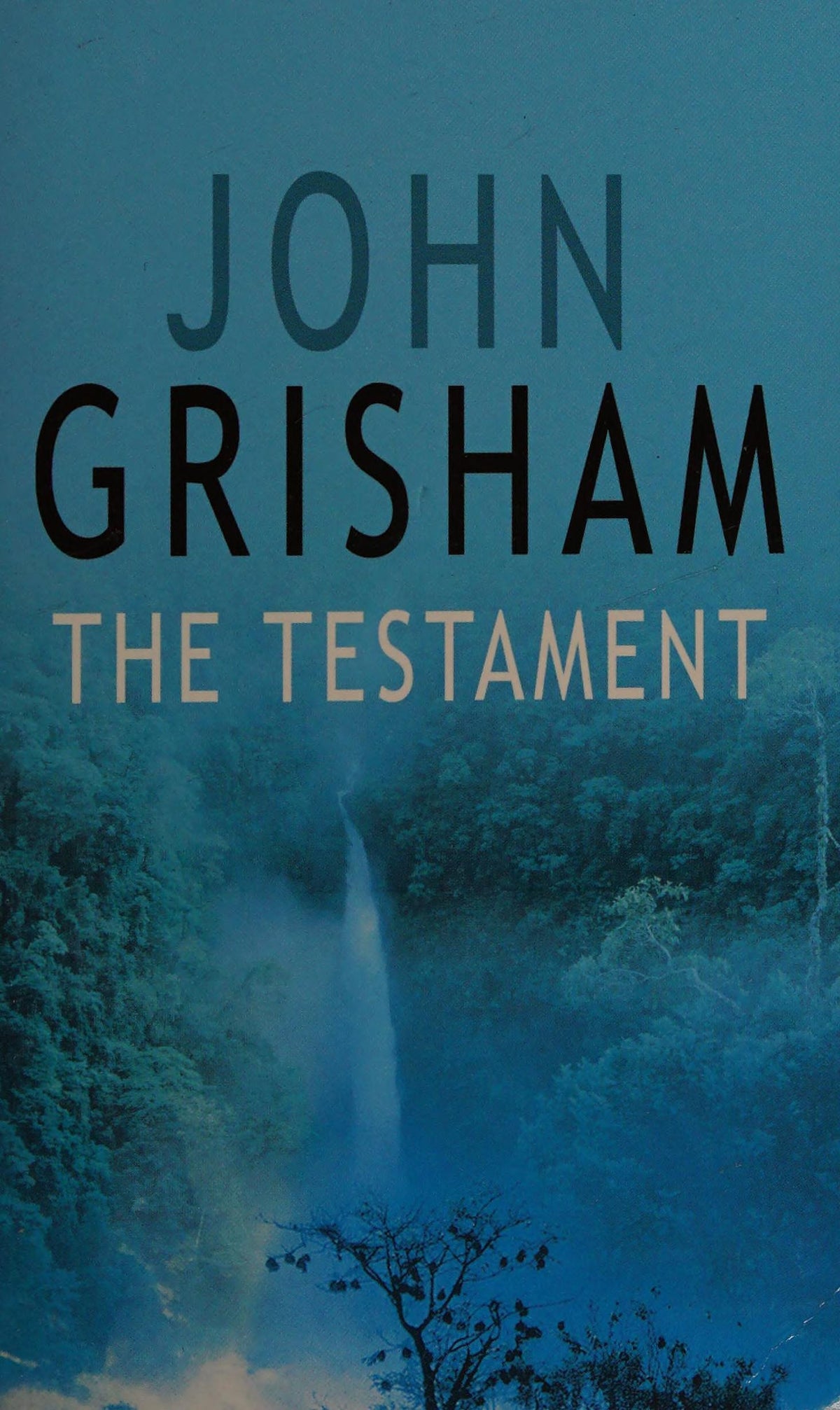 The Testament by John Grisham