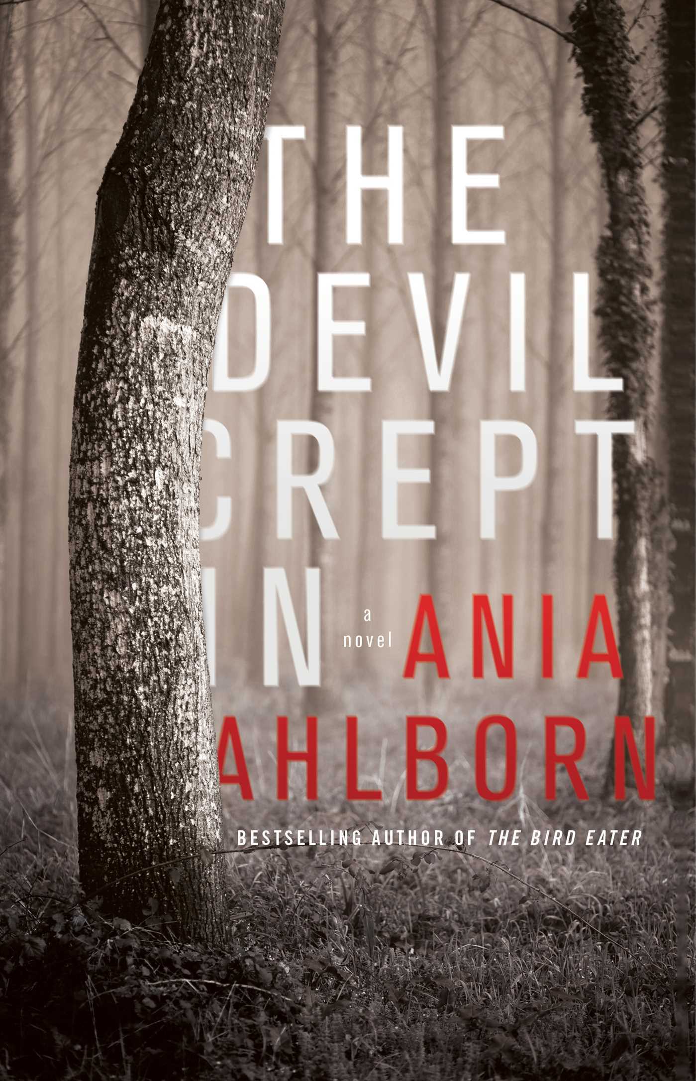 The Devil Crept In A Novel by Ania Ahlborn